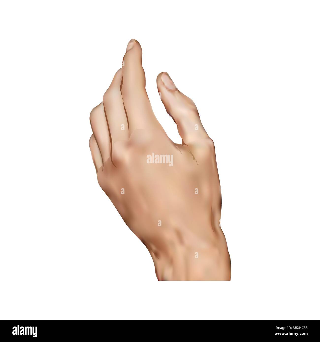 Illustrazione della mano umana su sfondo bianco vol 01 Illustrazione Vettoriale