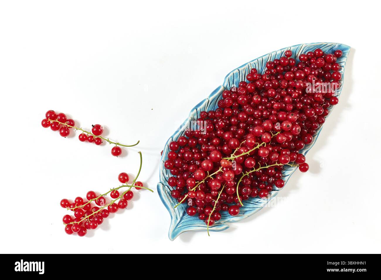 Ribes rosso fresco nel piatto su un tavolo bianco. Vista dall'alto. Spazio per il testo Foto Stock