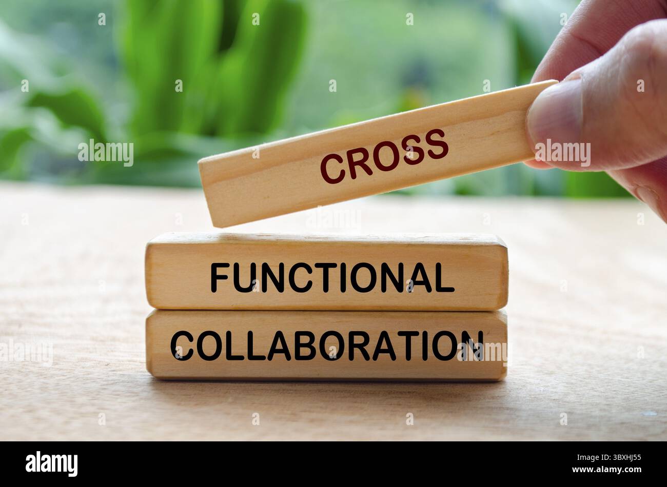 Testo di collaborazione interfunzionale su blocchi di legno. Concetto di business Foto Stock