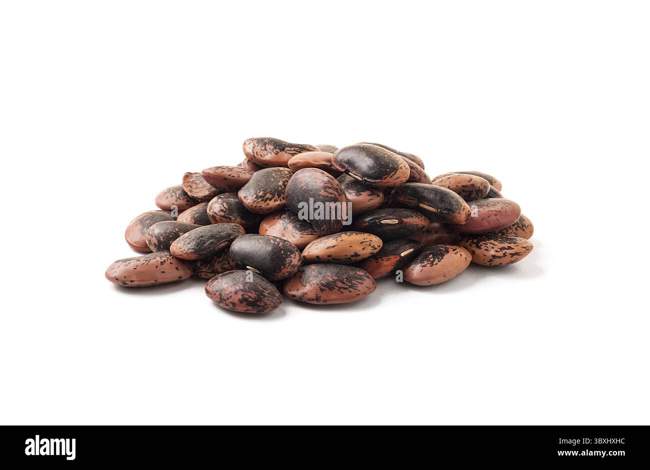 Fagioli rossi di pinto isolati su sfondo bianco Foto Stock