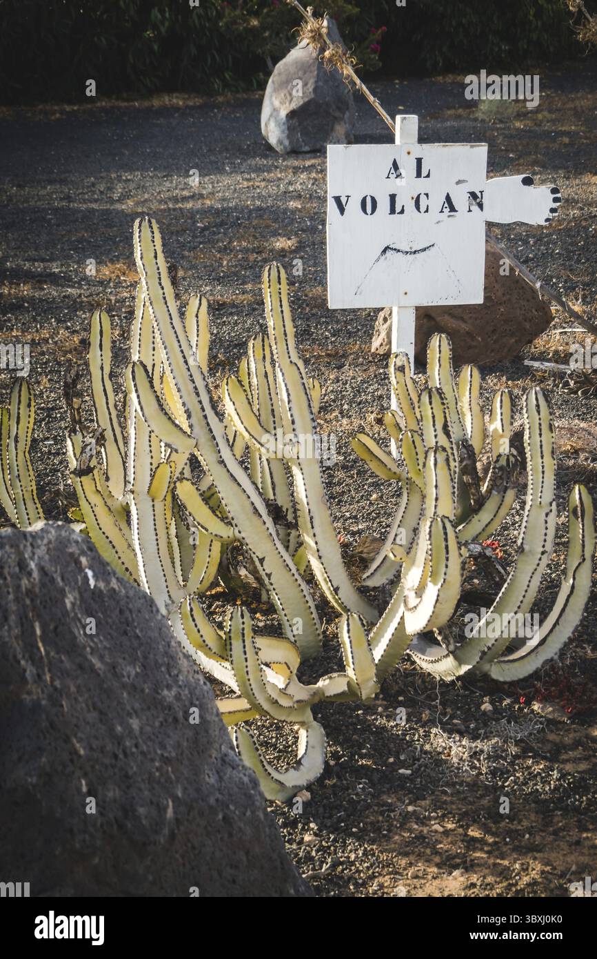 Cactus segno che indica la direzione del vulcano sull'isola di Lanzarote Foto Stock