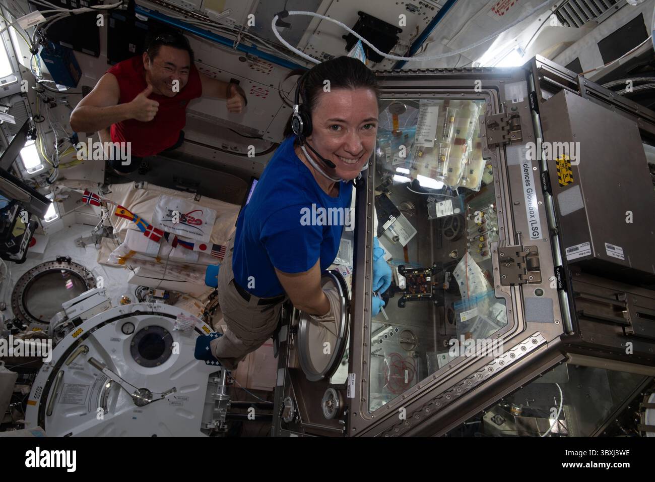 14 agosto 2021, a bordo dell'International Space S, USA: Astronauta della NASA ed Expedition 65 l'ingegnere di volo Megan McArthur lavora alla Cardinal Muscle Investigation nel glovebox Life Sciences a bordo della stazione spaziale Internazionale. Questo studio verifica se tali tessuti ingegnerizzati coltivati nello spazio potrebbero fornire un modello per lo studio della perdita muscolare e la valutazione di possibili terapie prima degli studi clinici il 14 agosto 2021 (Credit Image: © NASA via CNP/CNP via ZUMA Press Wire) Foto Stock