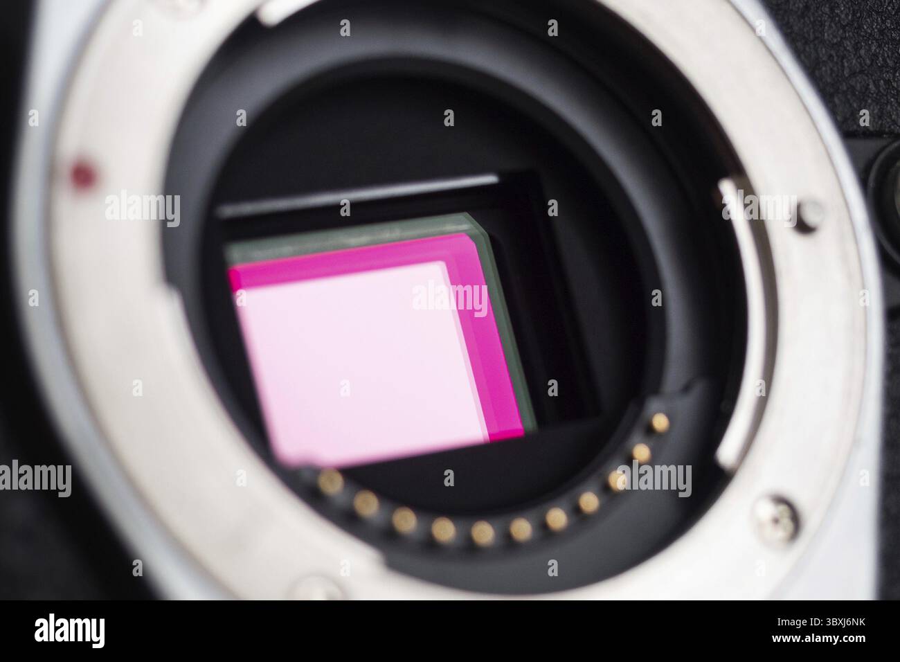 Fotocellula di una moderna fotocamera mirrorless Foto Stock