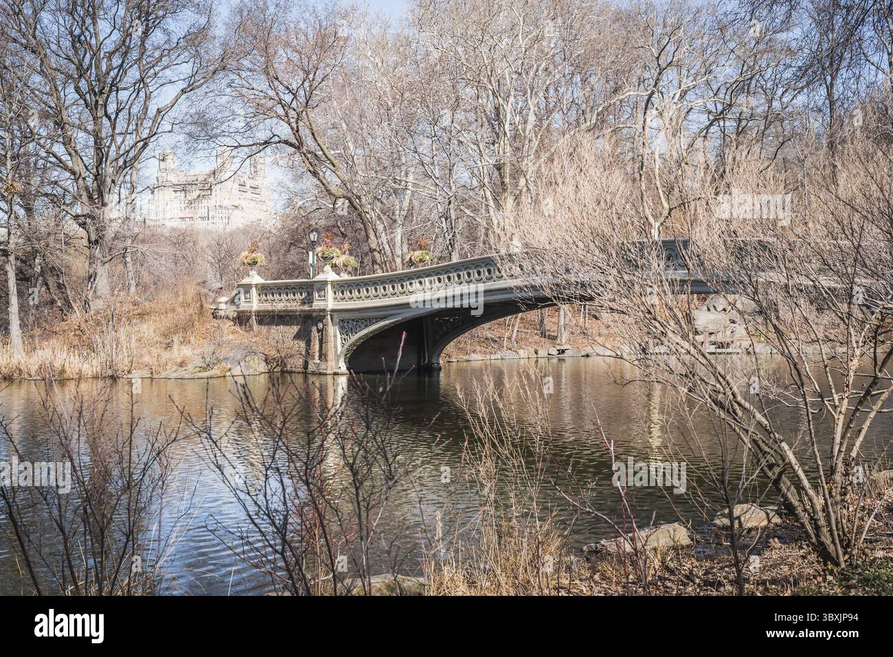 Il lago di ponte di prua paesaggio attraverso i rami sfrondato del tardo inverno in NY Foto Stock