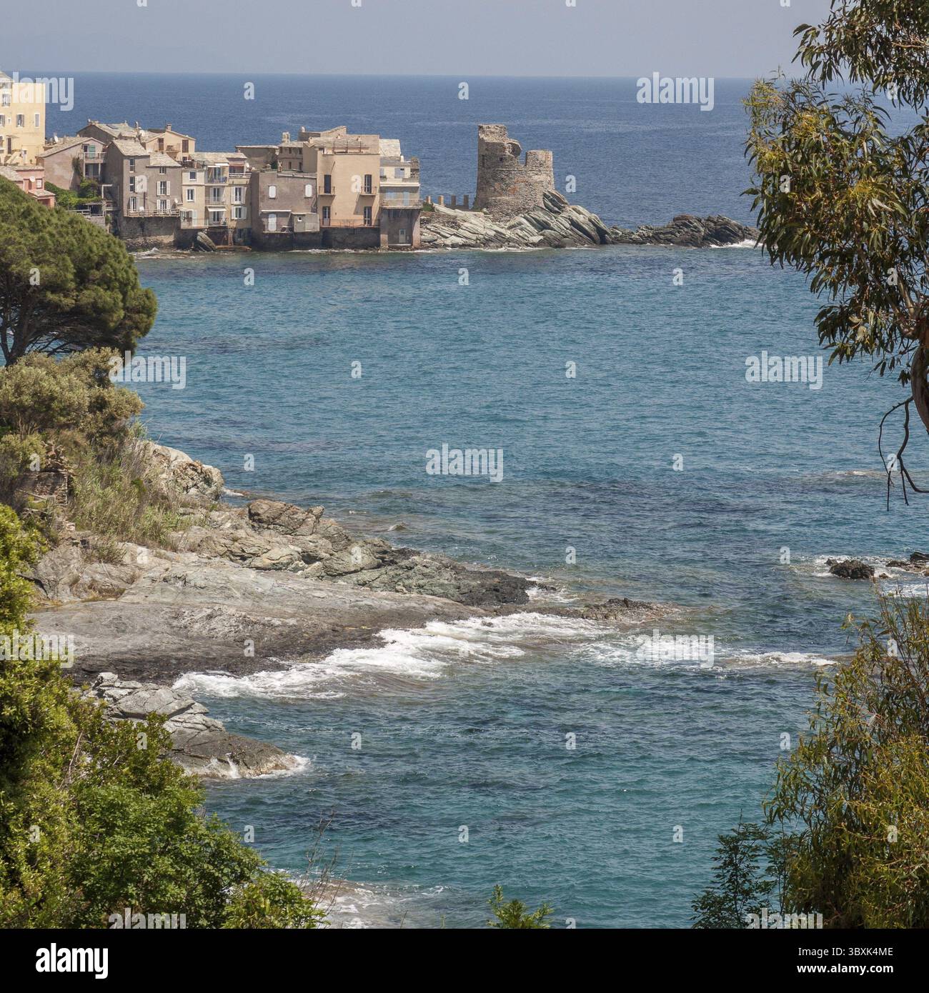 Porto dell'isola della bellezza in Corsica, Francia, bastia, francia Foto Stock