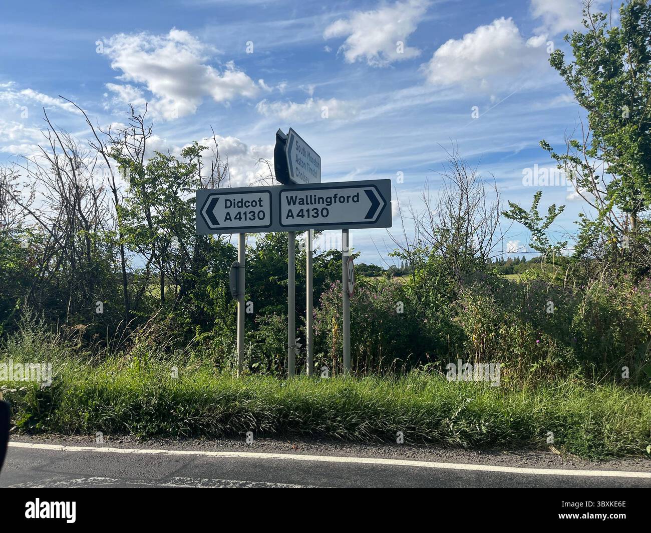 Numerose riprese della campagna, della fauna selvatica e delle giornate divertenti in giro per l'Oxfordshire Foto Stock