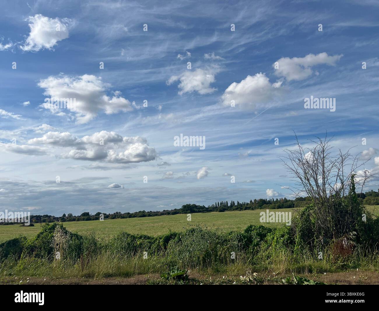 Numerose riprese della campagna, della fauna selvatica e delle giornate divertenti in giro per l'Oxfordshire Foto Stock