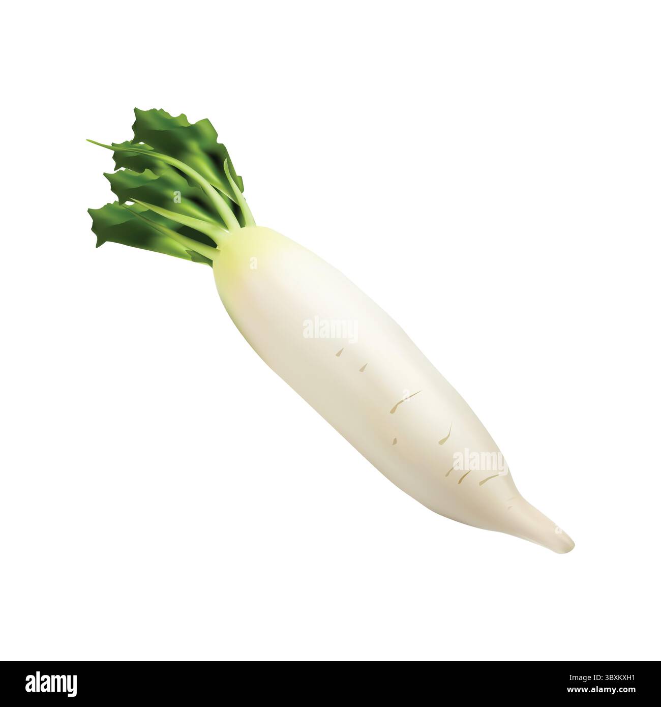 12 01 01 Immagini Vettoriali Stock - Alamy