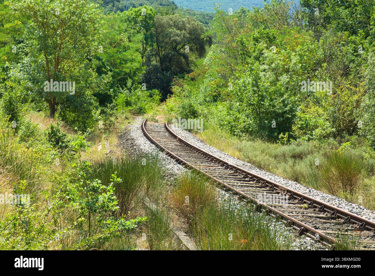 La ferrovia dismessa scompare nel sottobosco. Rosette in acciaio. Traversine per binari. Terrapieno di ghiaia. Erba alta. Bosco di querce. Foto Stock