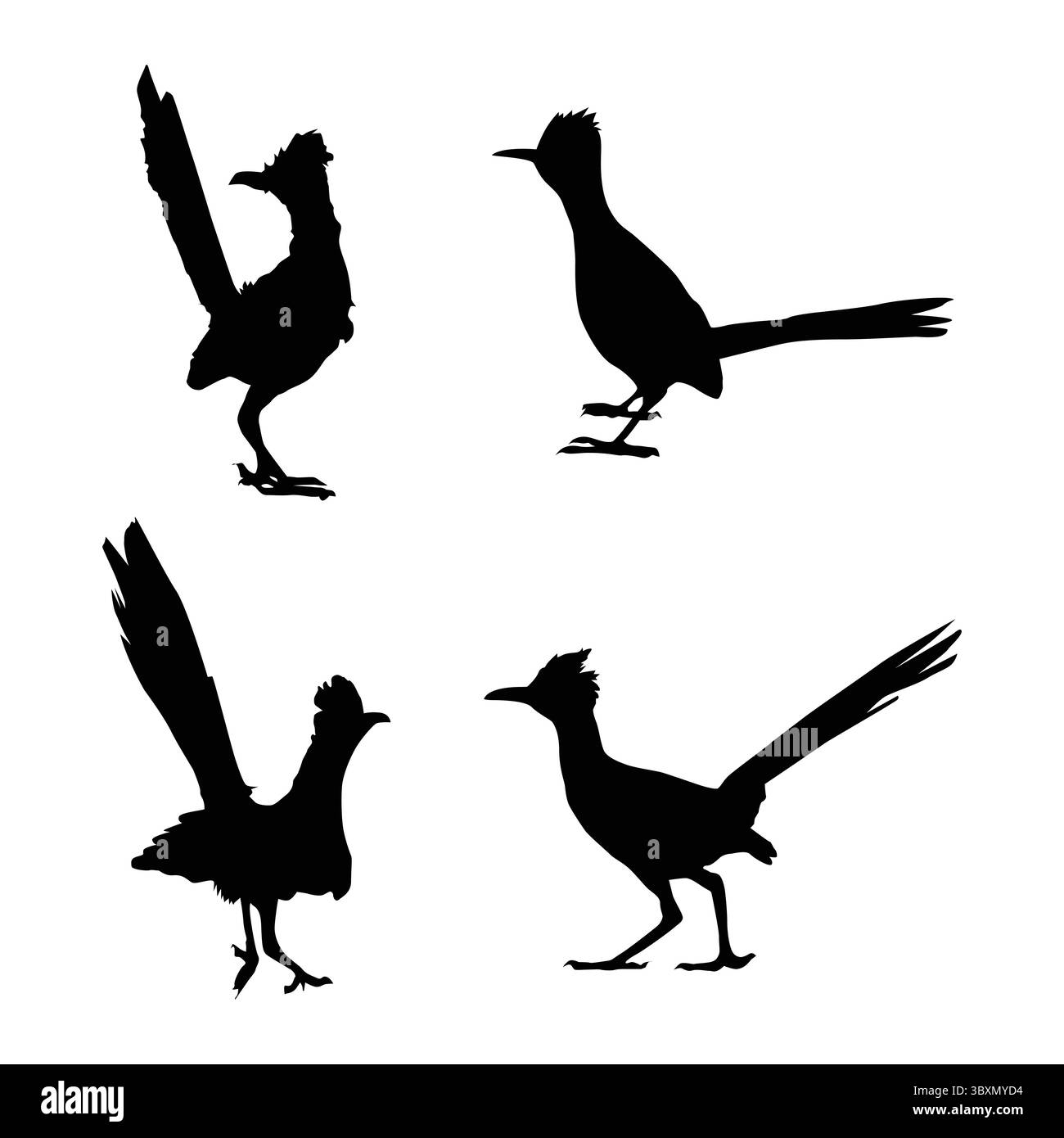 Set di figure Roadrunner Bird Black su sfondo bianco vol 01 Illustrazione Vettoriale
