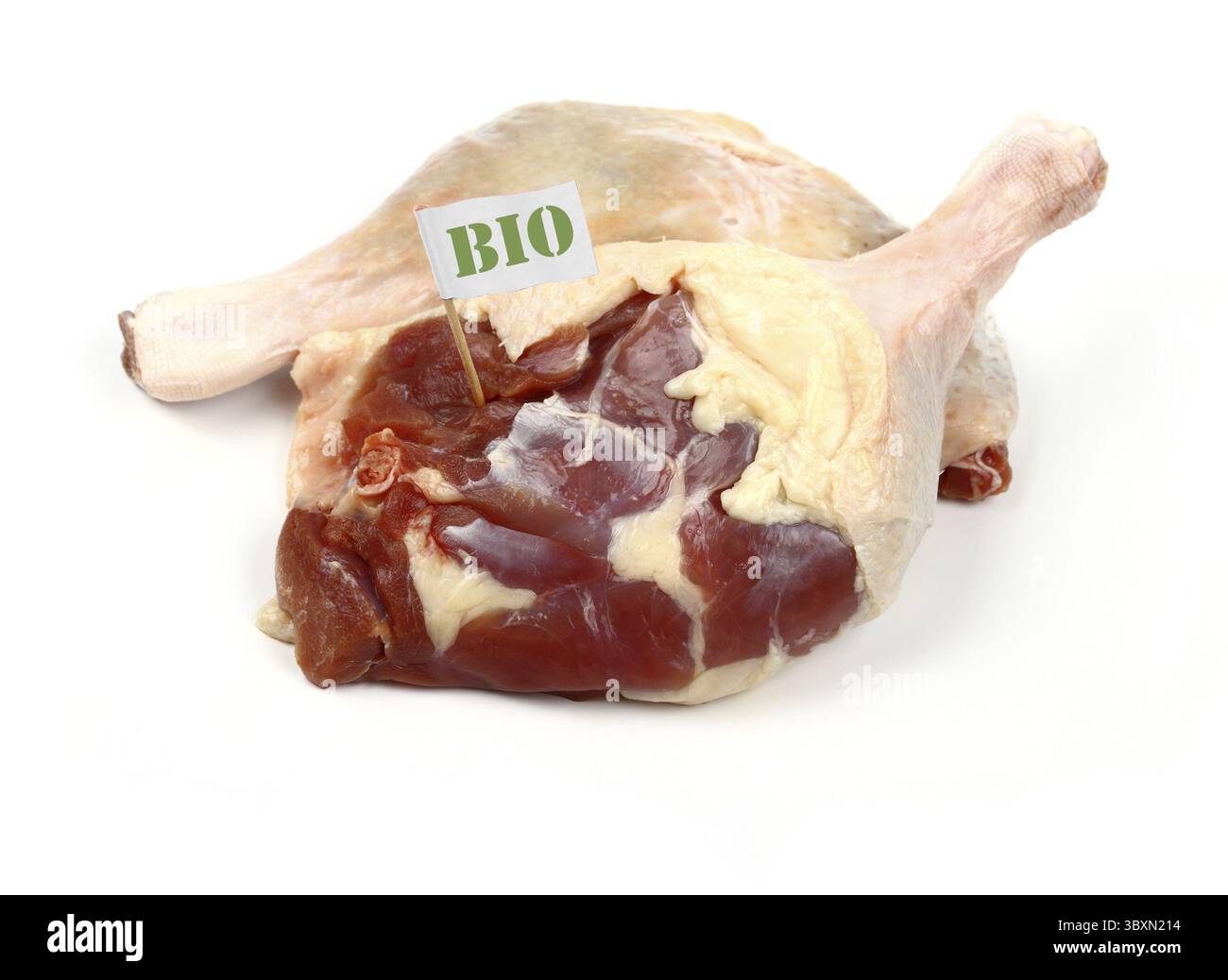 Anatra muta gamba con Bio bandiera, isolato Foto Stock