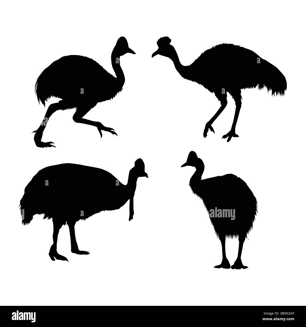 Set di sagome nere cassowary meridionali vol 01 Illustrazione Vettoriale