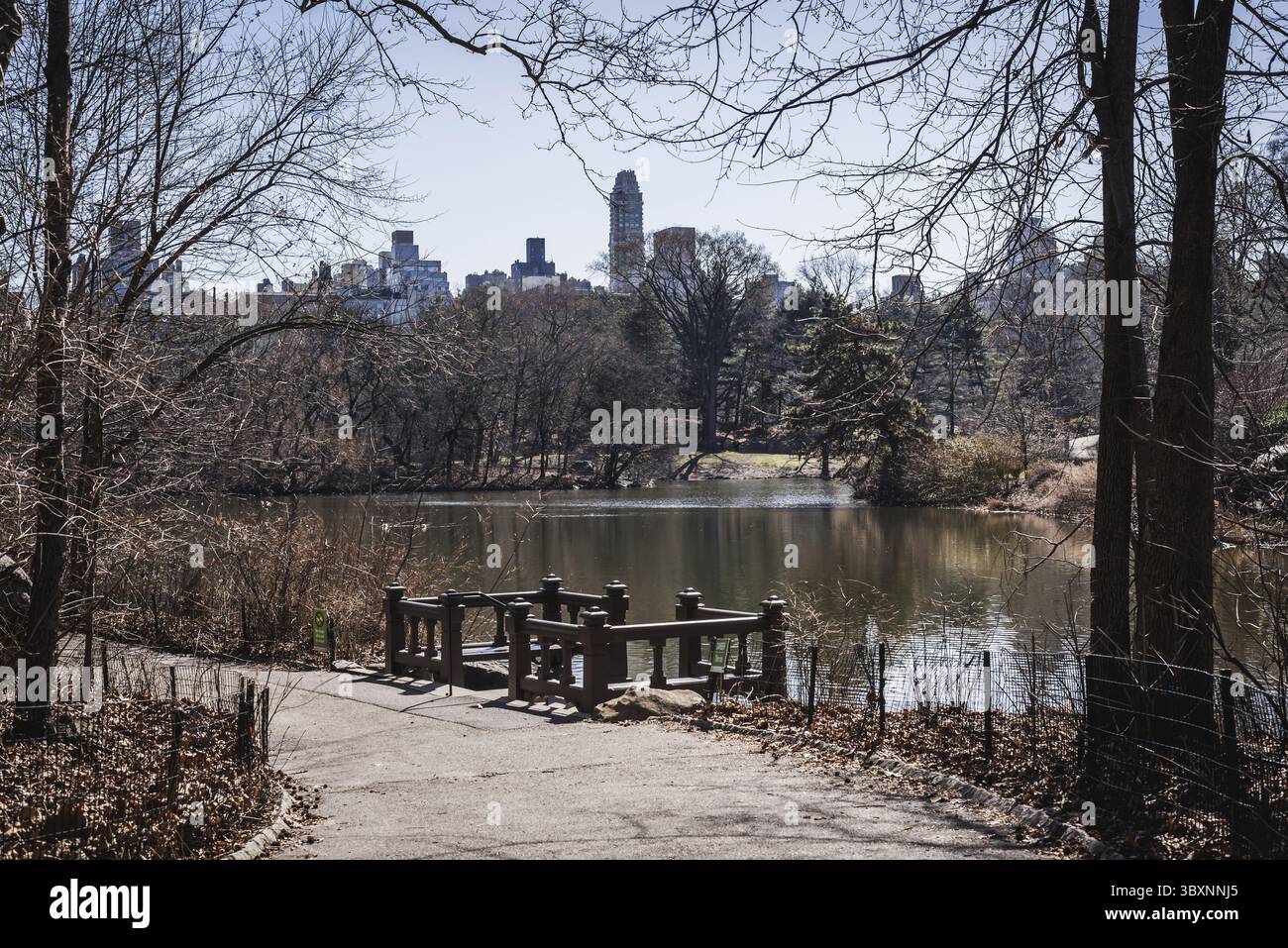 Pontile Lago nel centro di Central Park a Manhattan New York Foto Stock