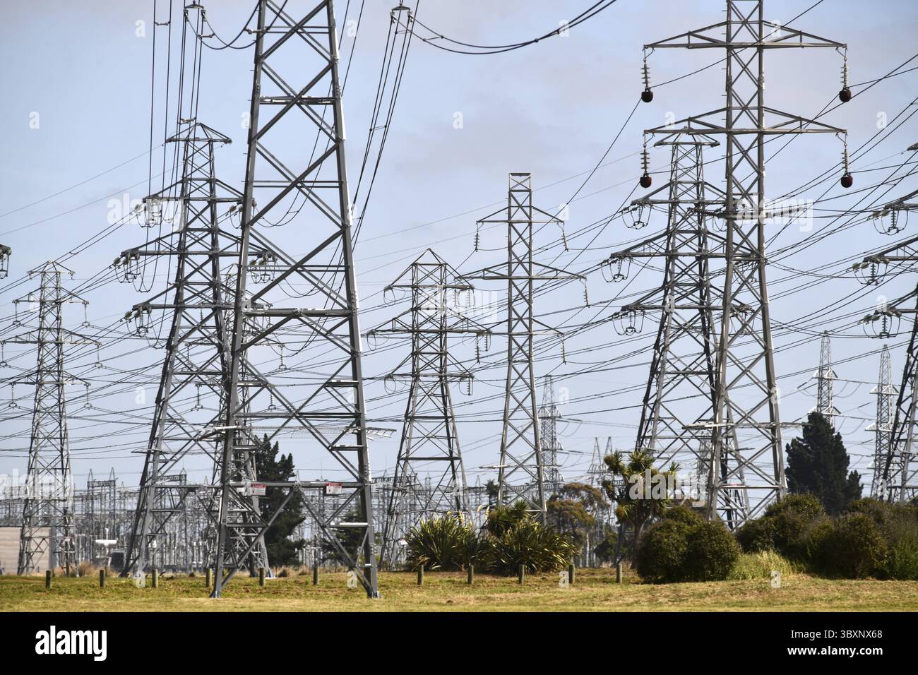 Fili e tralicci elettrici ad alta tensione a Christchurch, nuova Zelanda Foto Stock