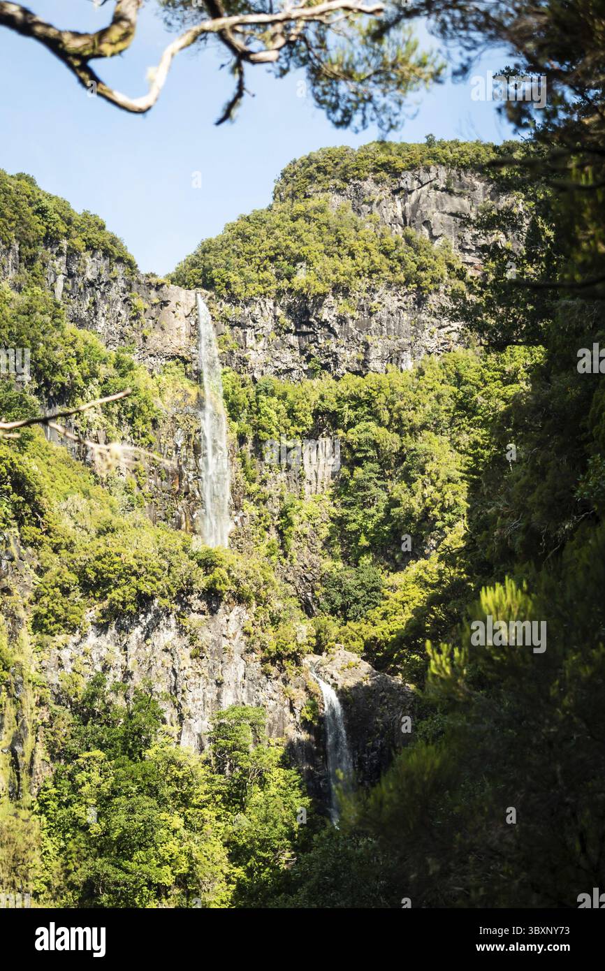 Verde monumentale cascata in una levada di Madera Foto Stock