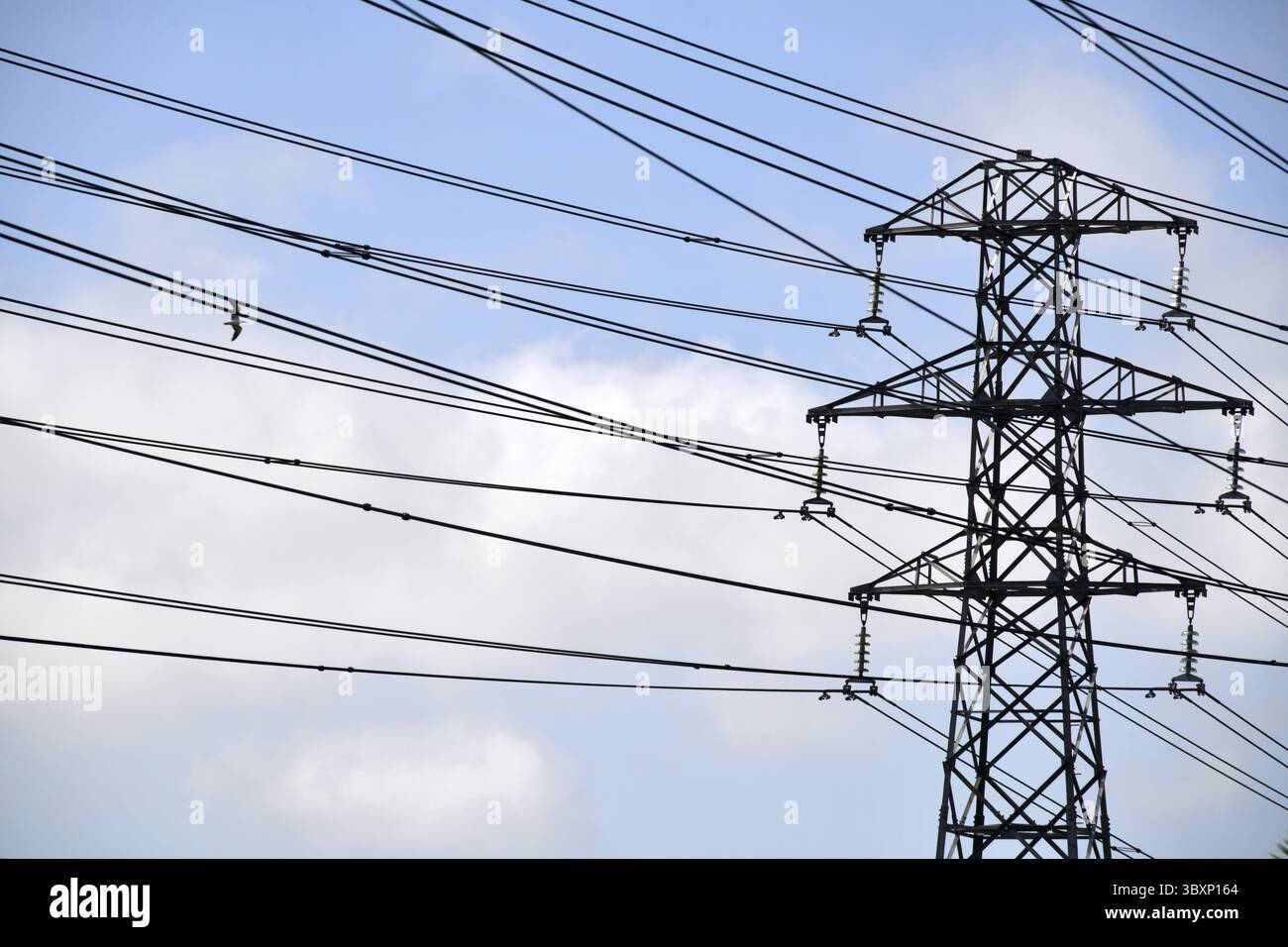 Fili e tralicci elettrici ad alta tensione a Christchurch, nuova Zelanda Foto Stock