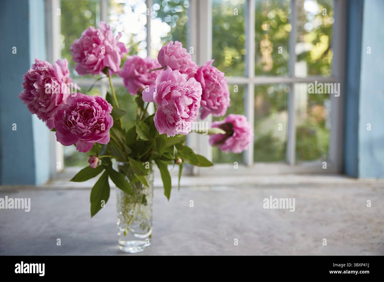 Peonie in un vaso sul tavolo sullo sfondo della finestra Foto Stock