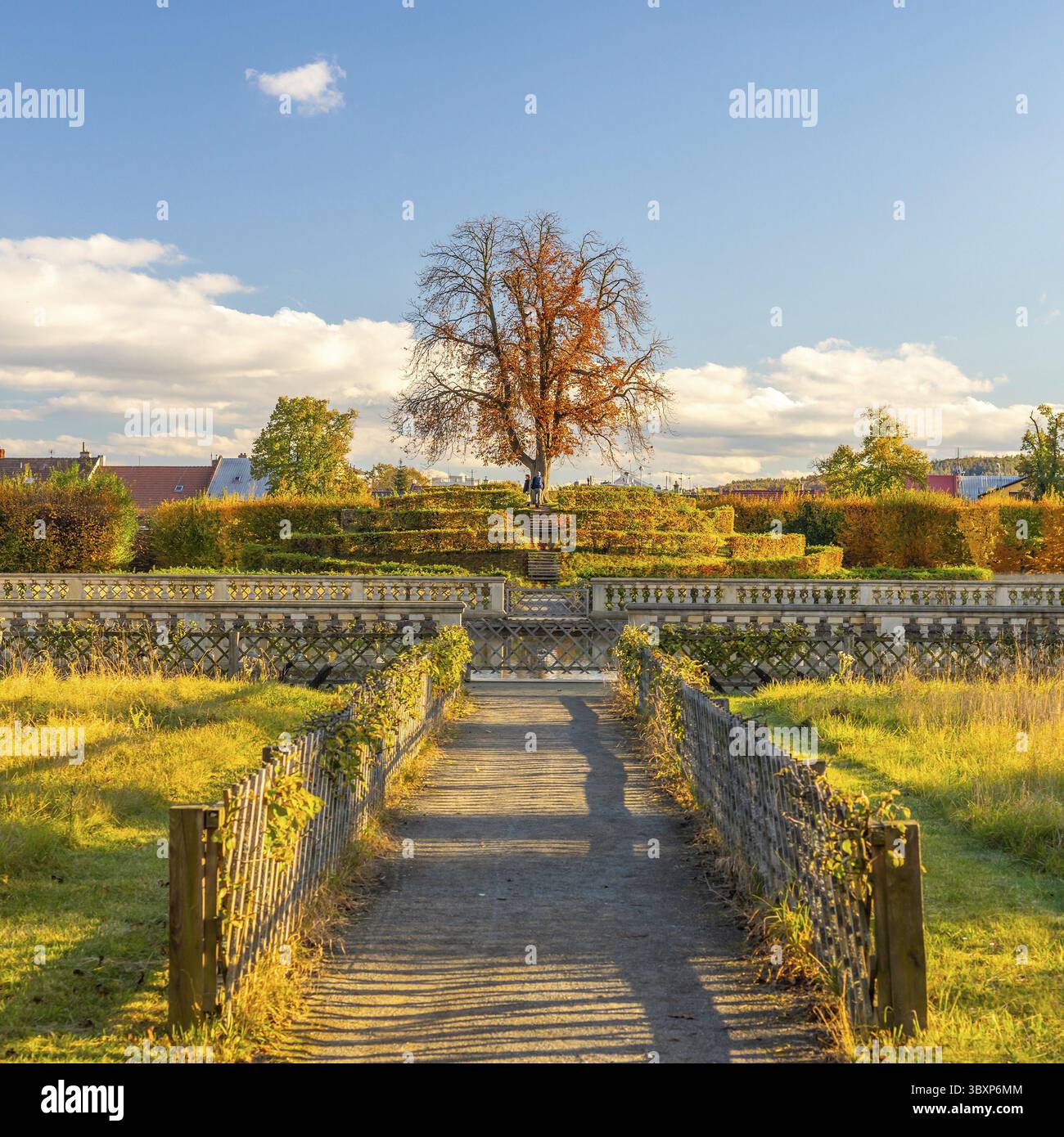 Kromeriz, repubblica Ceca - 11 04 2023: Giardino dei fiori a Kromeriz - monumento UNESCO - parco barocco. albero sulla collina Foto Stock