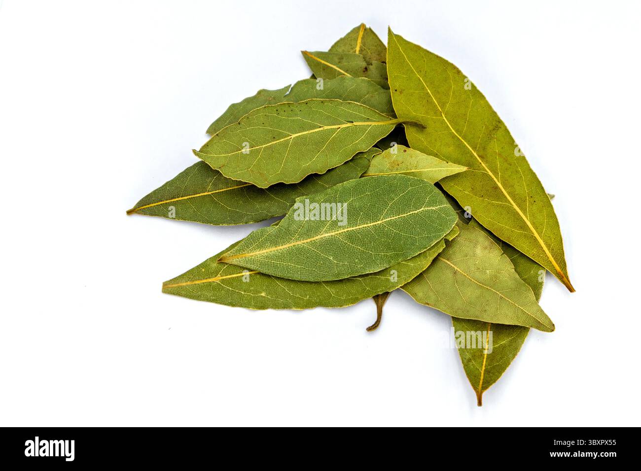 Una collezione di foglie di alloro secche, che mostrano la loro naturale consistenza e colore, comunemente usati per aggiungere aroma e sapore a varie ricette Foto Stock