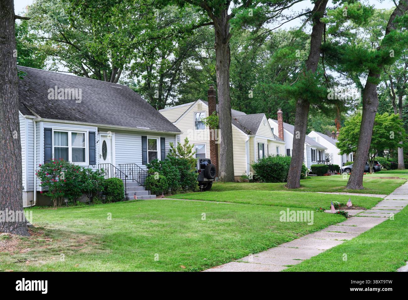 Strada alberata con una fila di case tipo bungalow Foto Stock