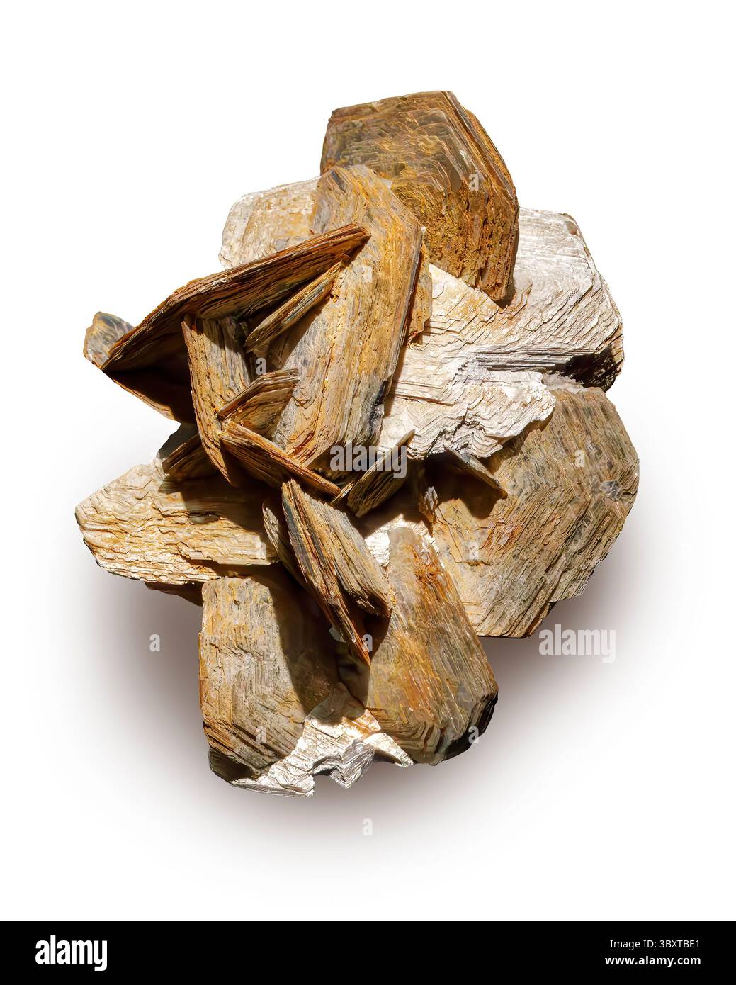 Muscovite, Governador Valadares, Minas Gerais, Brasile Foto Stock