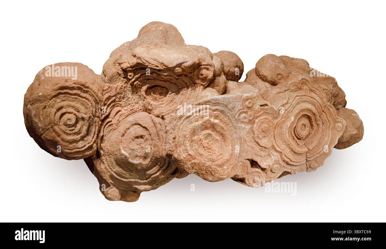 Stromatoliti, montagne dell'Atlante, Marocco Foto Stock