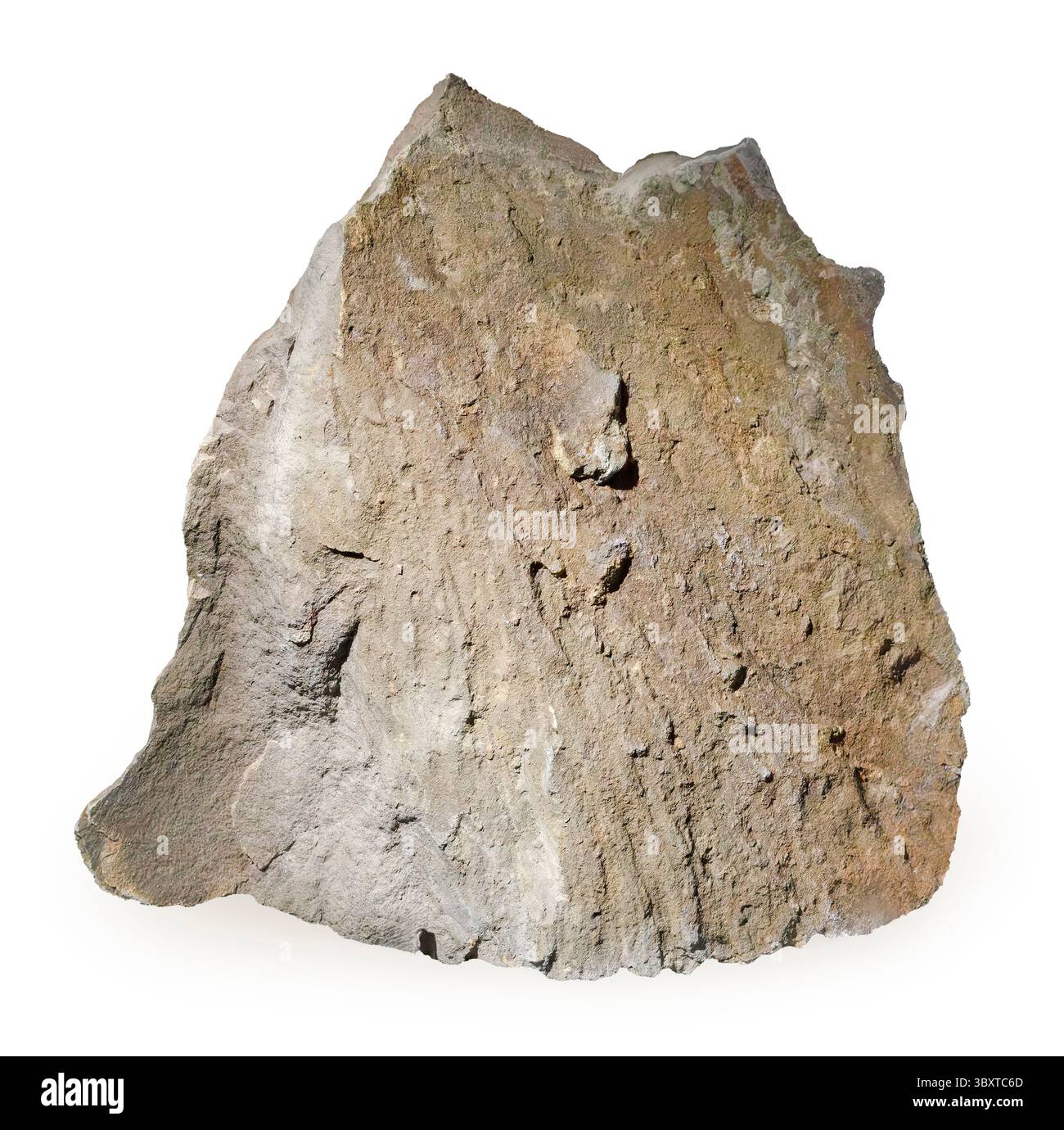 Sudbury (Shatter Cone from Impact), Sudbury, Ontario, Canada Foto Stock