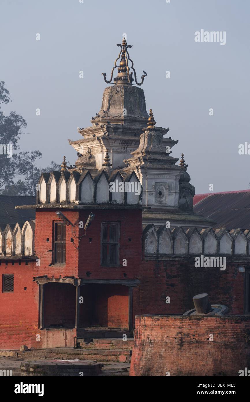 10 febbraio 2015, Kathmandu, provincia di Bagmati, Nepal: Il tempio Pancha Dewal nel complesso del tempio indù Pashupatinath a Kathmandu, Nepal. (Immagine di credito: © Jon G. Fuller/VW Pics via ZUMA Press Wire) Foto Stock