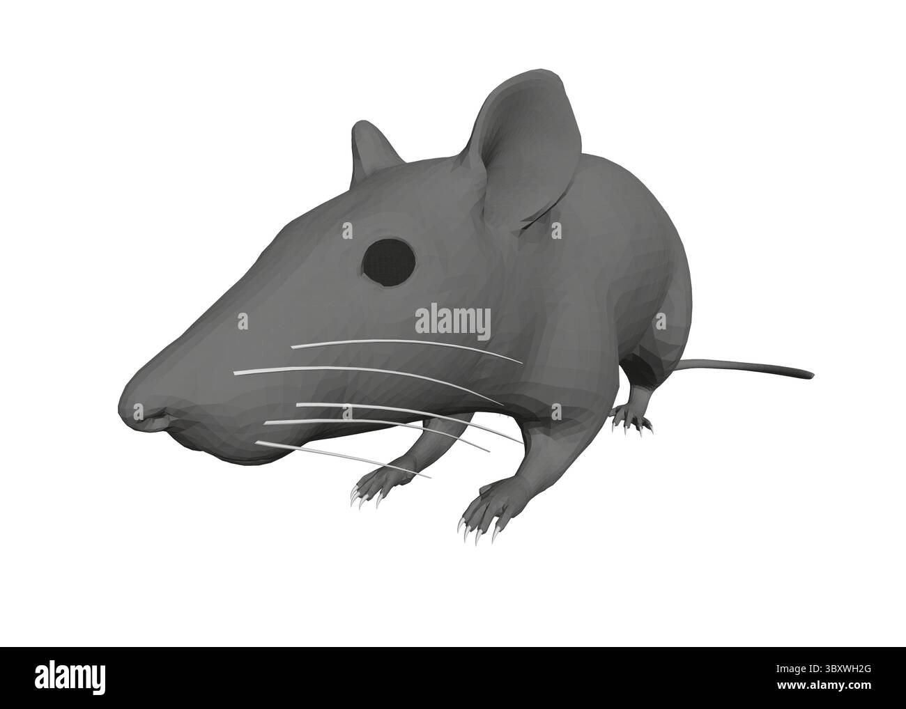 Rappresentazione stilizzata di un mouse a basso contenuto di poli. Presenta forme geometriche e bordi affilati, che enfatizzano le caratteristiche distintive dell'animale, come la grande e Illustrazione Vettoriale