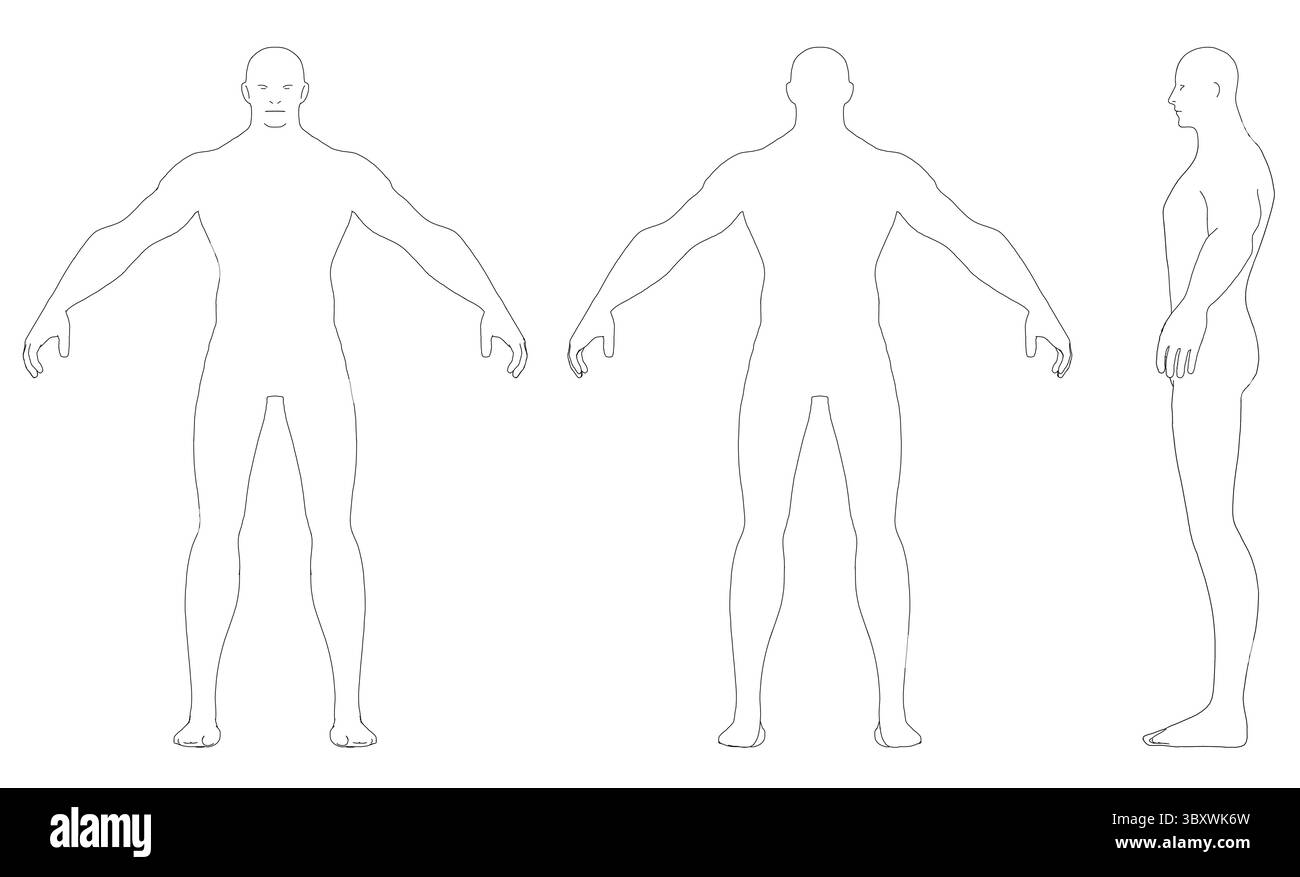 Figure umane affiancate, raffigurate in uno stile minimalista con contorni lisci. Le figure sono calve, senza funzioni e posano naturalmente, empha Illustrazione Vettoriale