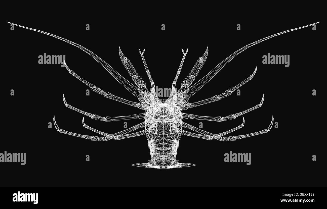 Aragosta wireframe 3D con linee e forme intricate, che mostrano dettagli realistici su un elegante sfondo nero. La struttura complessa evidenzia la c Illustrazione Vettoriale