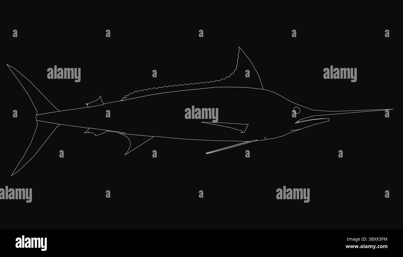 Un'elegante illustrazione in bianco e nero con becco affilato e allungato simile a una spada, scale dettagliate e curve dinamiche, su uno sfondo scuro Illustrazione Vettoriale