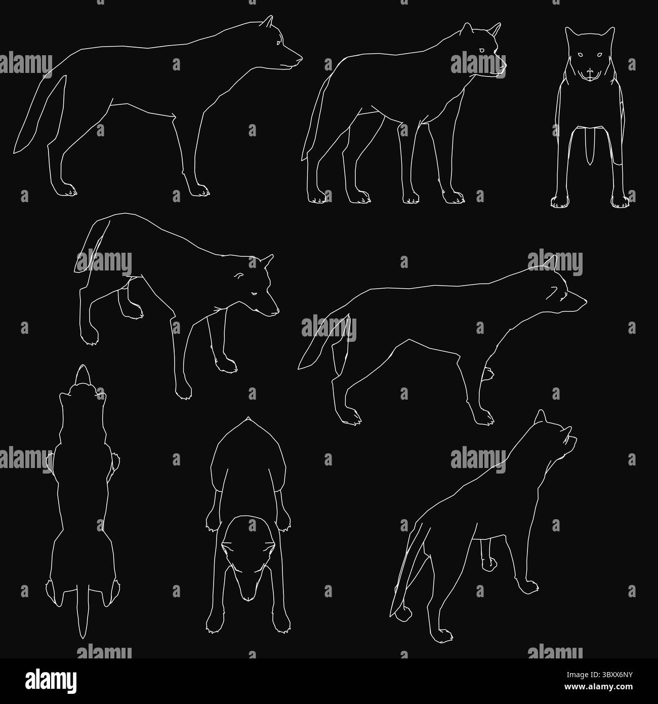 Le silhouette dei lupi si stagliano perfettamente su uno sfondo nero, in uno stile vettoriale pulito. Il set presenta più figure simili a coyote con c Illustrazione Vettoriale