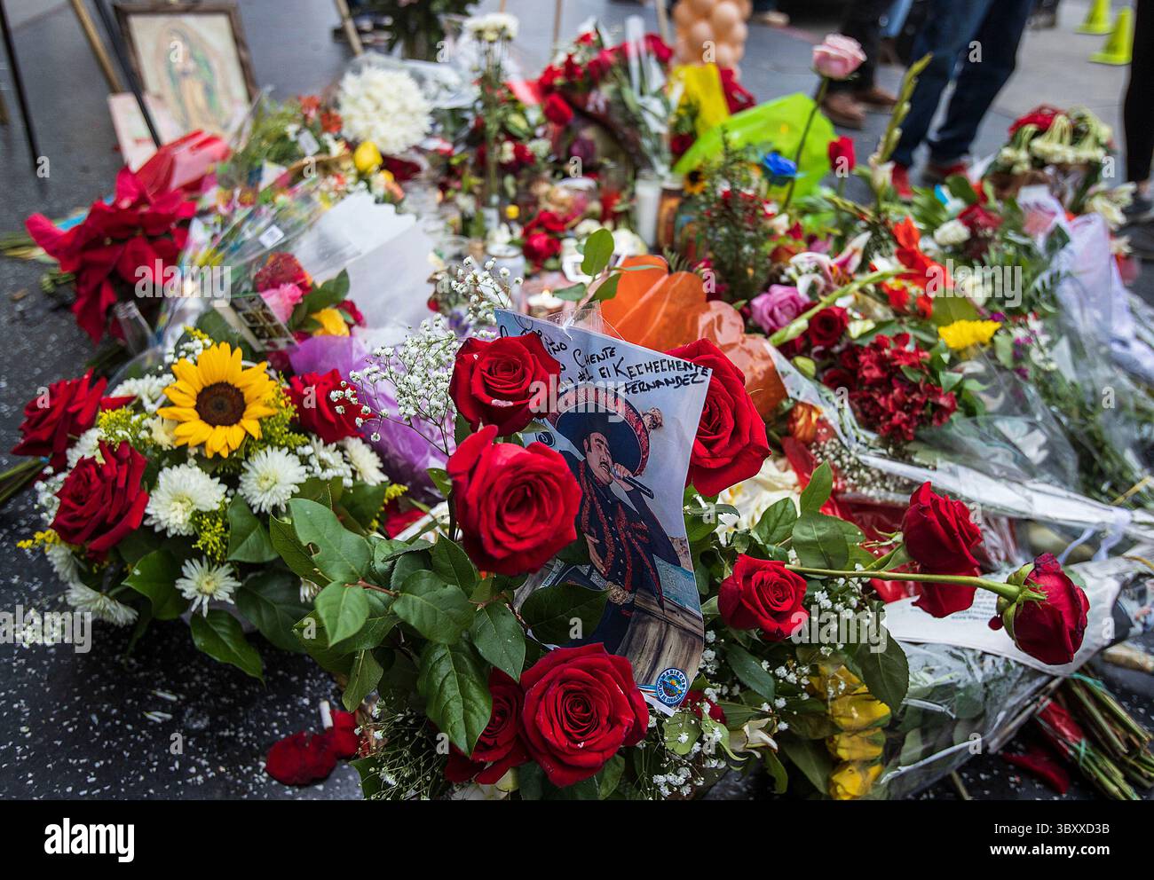 13 dicembre 2021, Hollywood, California, USA: I fan mettono mementi intorno alla stella di Vicente Fernandez nella Hollywood Walk of Fame lunedì 13 dicembre 2021 a Hollywood, California. JAVIER ROJAS/PI (immagine di credito: © Prensa Internacional via ZUMA Press Wire) Foto Stock