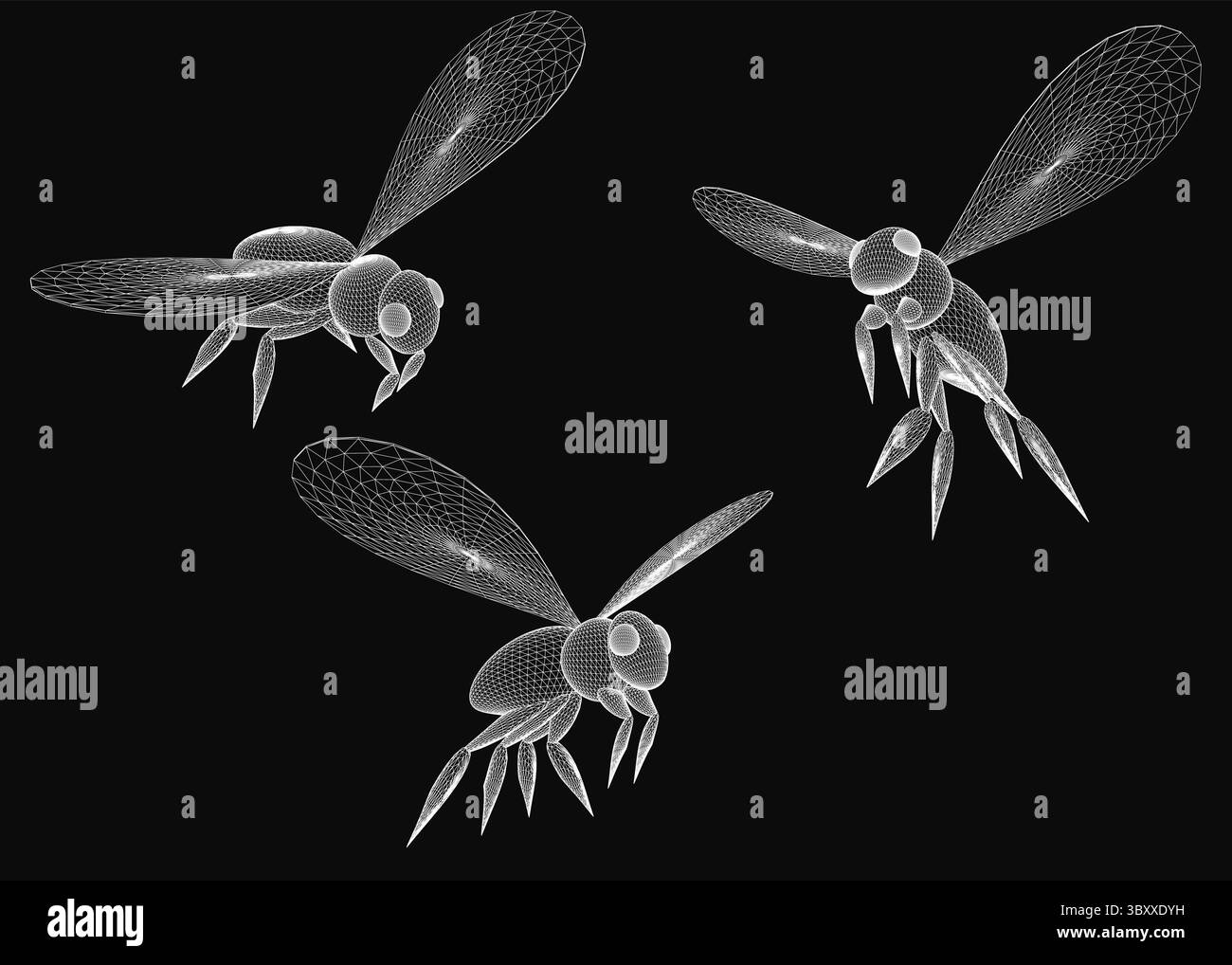 Tre modelli di dragonfly 3D in bianco e nero con dettagli intricati su sfondo nero. Le ali realistiche, le antenne delicate e il corpo segmentato Illustrazione Vettoriale