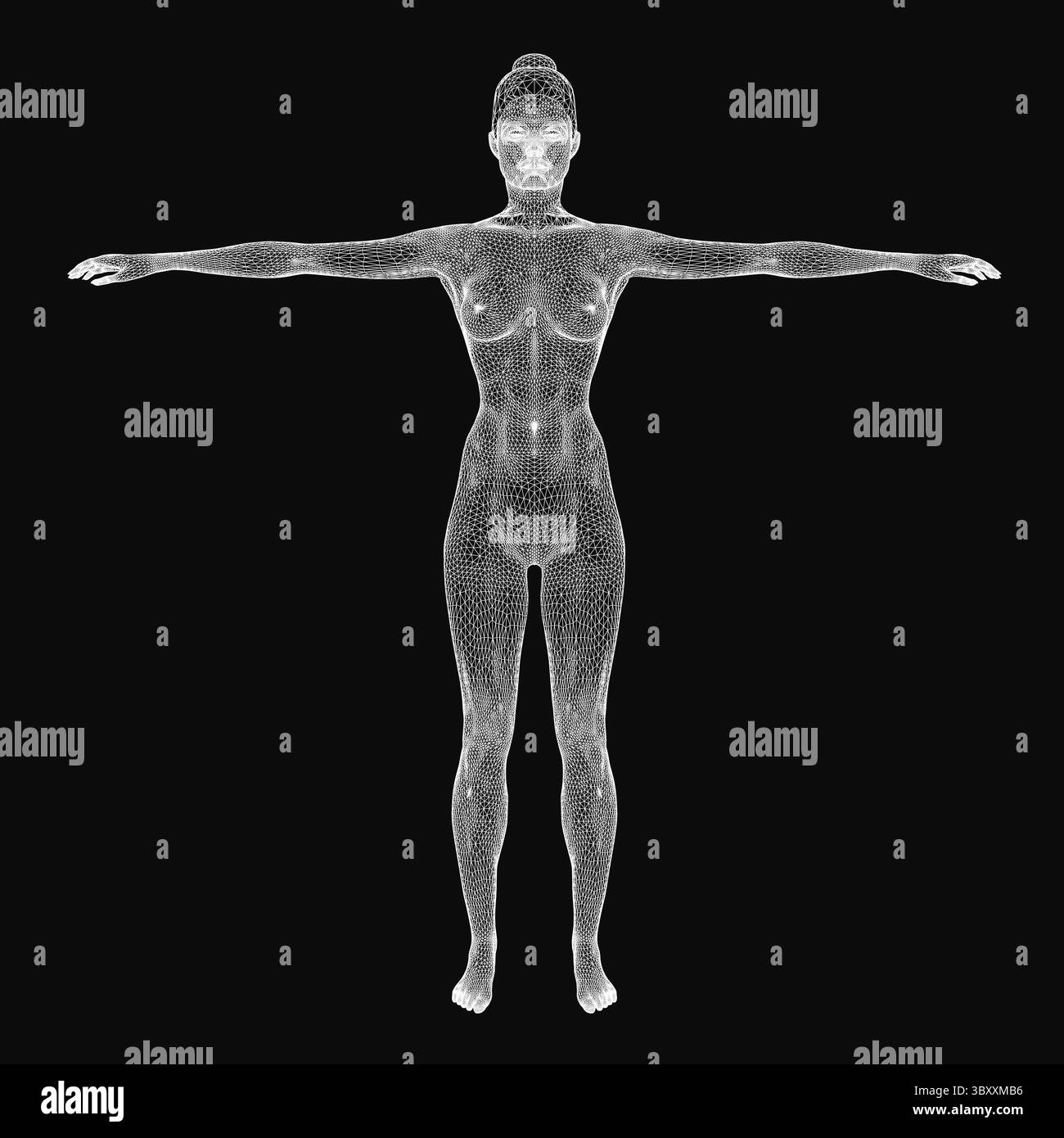 Donna a reticolo con braccia allungate, che mostra un dettagliato modello 3D di anatomia umana su sfondo nero. La struttura scheletrica e la muscula Illustrazione Vettoriale