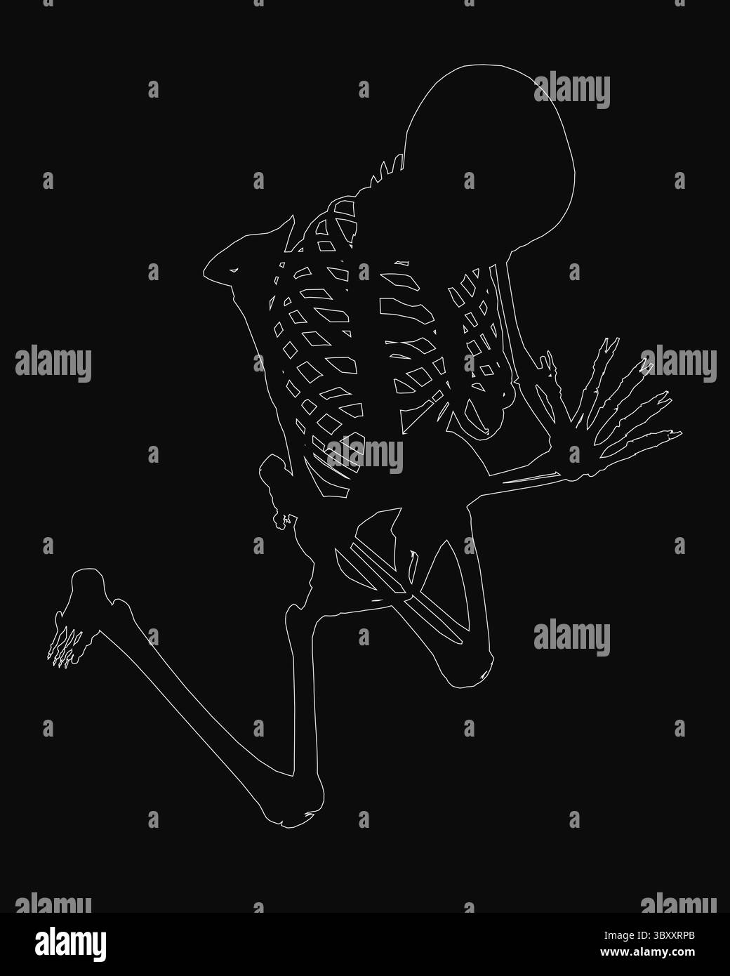 Uno scheletro inginocchiato in preghiera, raffigurato come una linea bianca disegnata su sfondo nero. Il personaggio ha braccia allungate e testa inchinata in un p riverente Illustrazione Vettoriale