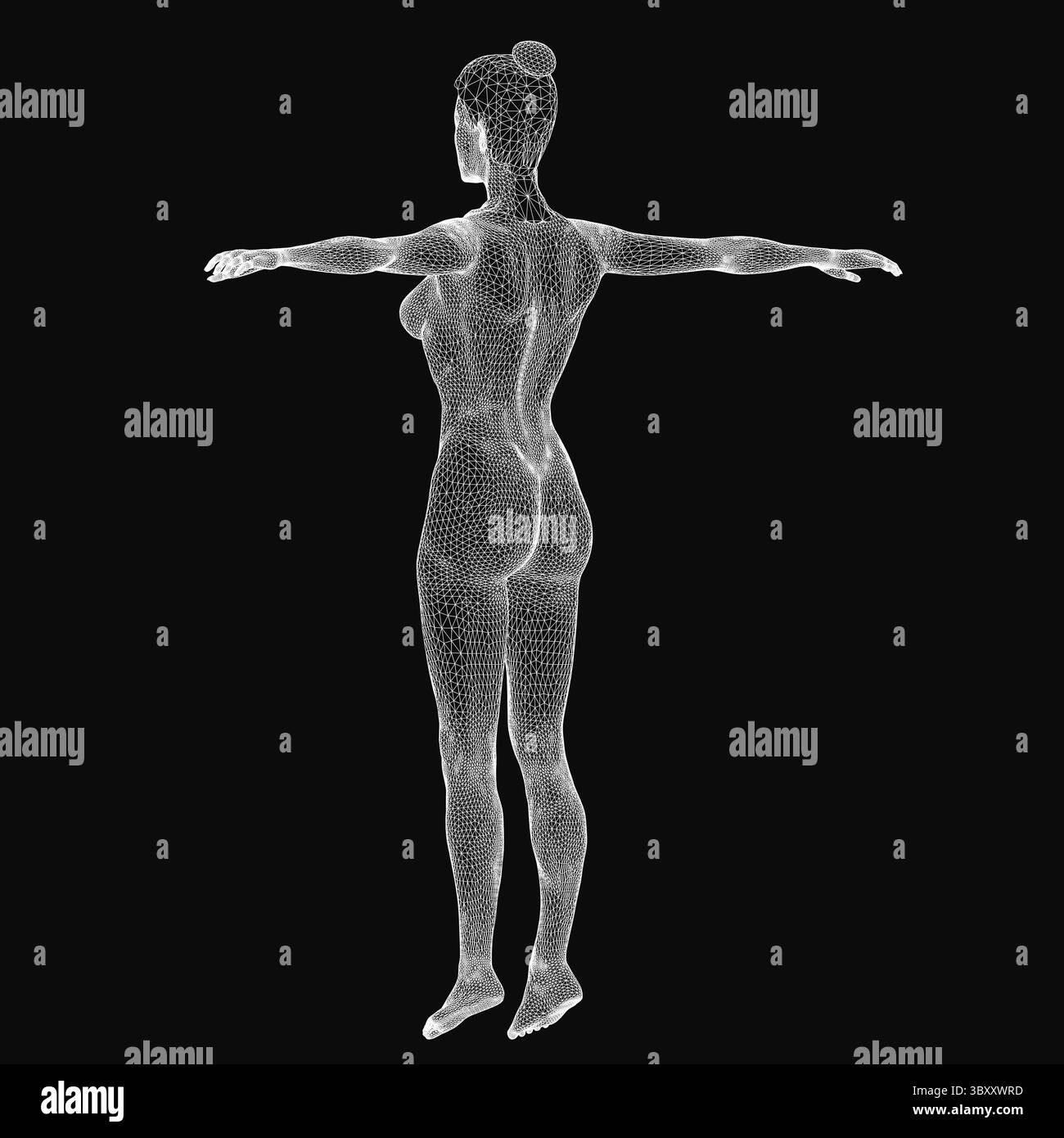 Modello a reticolo di una donna che presenta una struttura scheletrica con linee geometriche e rendering digitale. Il design trasparente evidenzia l'accu anatomico Illustrazione Vettoriale