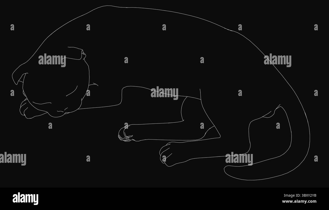 Un disegno in bianco e nero di un gatto dormiente steso a terra, su uno sfondo scuro con linee pulite e dettagli minimali. Il felino rilassato Illustrazione Vettoriale