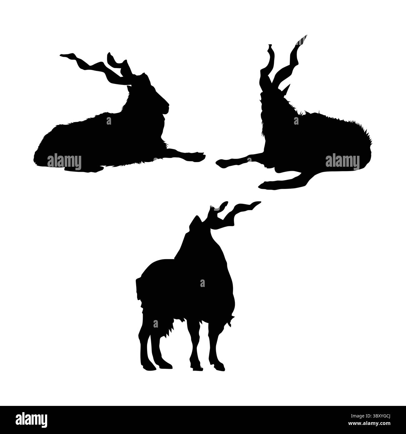 Il markhor è l'animale nazionale del Pakistan 1 Illustrazione Vettoriale