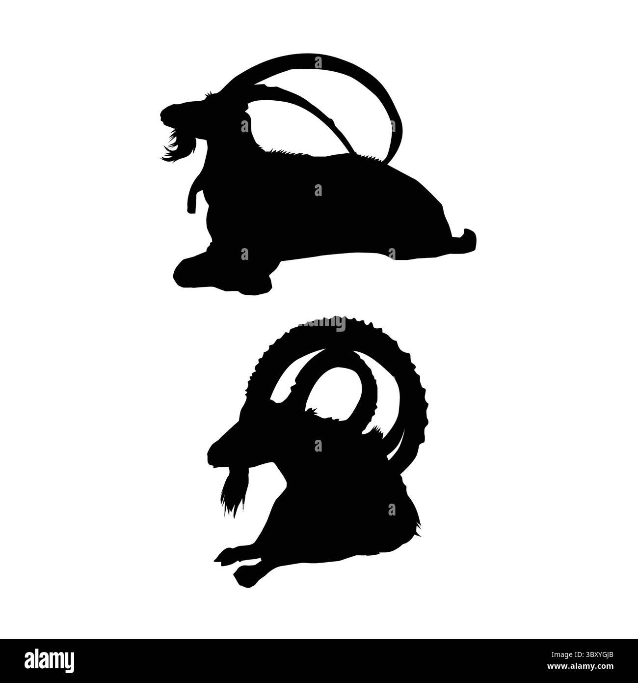 Il markhor è l'animale nazionale del Pakistan Illustrazione Vettoriale