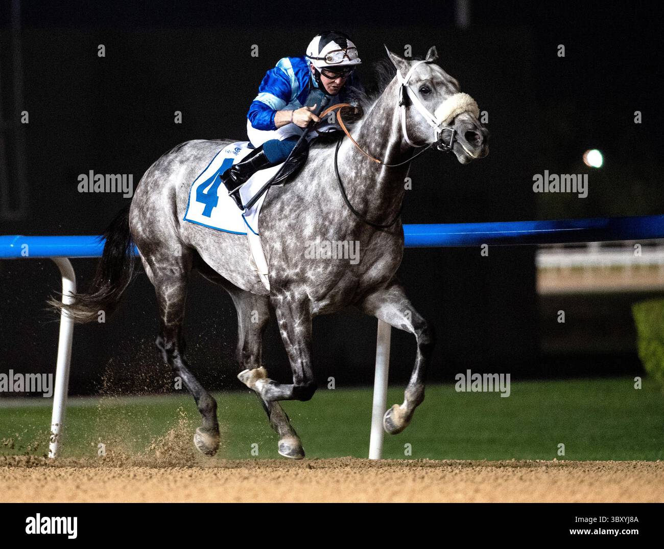 14 gennaio 2022, Dubai, ARE: GOLDEN GOAL con il fantino SAM HITCHCOTT vince il gruppo 2 al Maktoum Challenge Round 1 su 1600 m (8 furlongs) all'ippodromo Meydan di Dubai, Emirati Arabi Uniti, 14 gennaio 2022. (Immagine di credito: © Martin Dokoupil/ZUMA Press Wire) Foto Stock