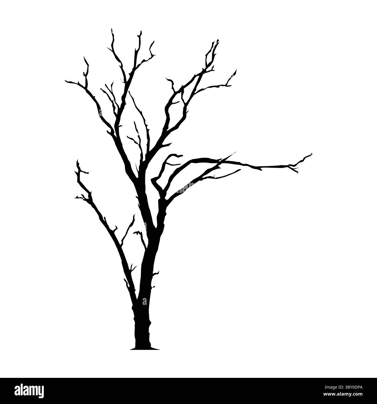 Illustrazione della sagoma ad albero con sfondo bianco vol 02 Illustrazione Vettoriale