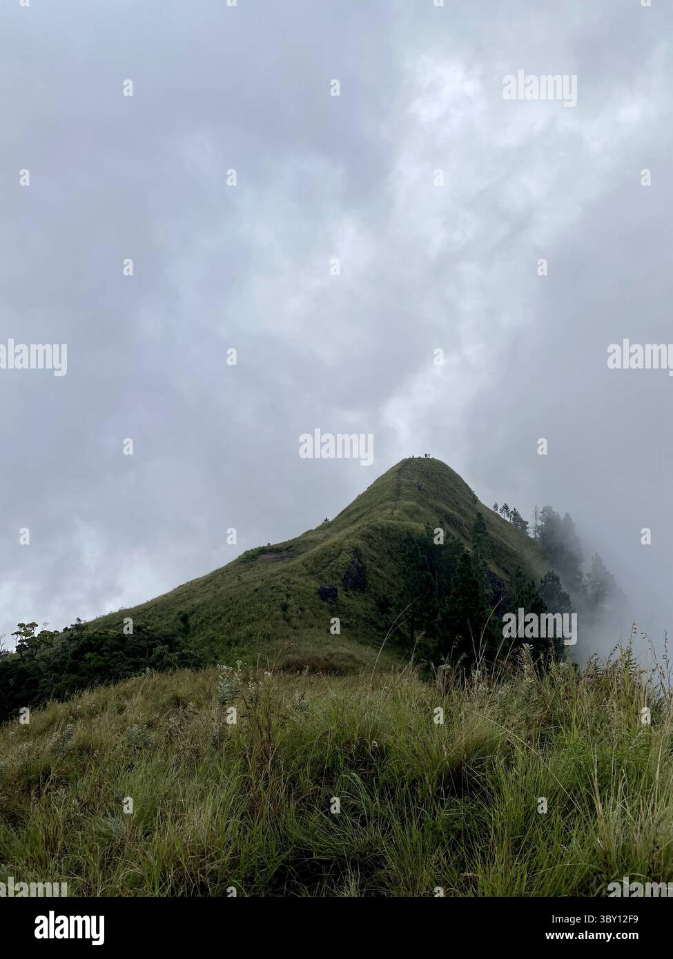 Cima ricoperta di nuvole di una montagna nebbiosa nella montagna di Wangedigala, Sri Lanka. Un'avventura panoramica. - Immagine stock catturata con smartphone