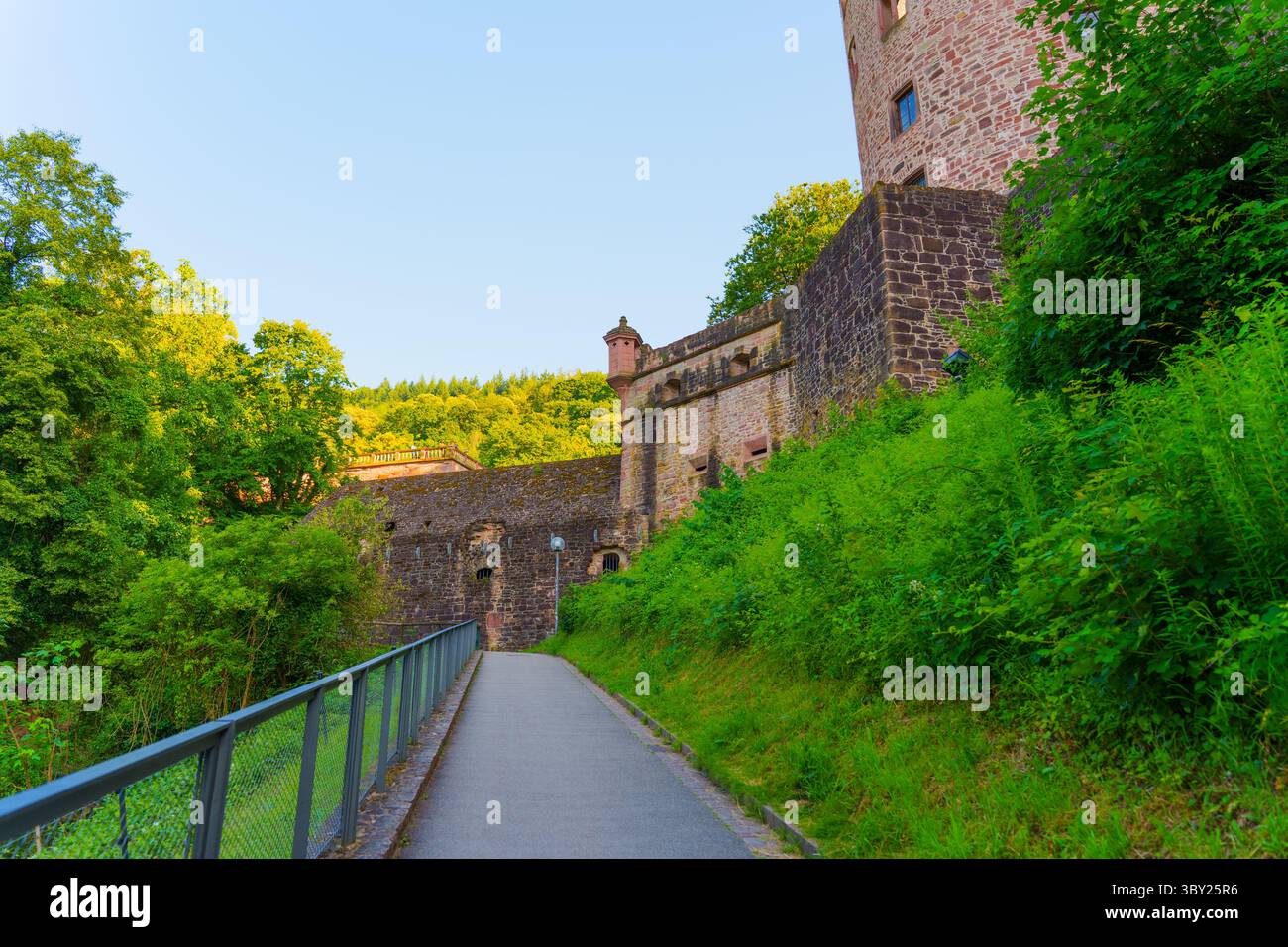 Il sentiero in pietra conduce all'antico castello di Heidelberg, fiancheggiato da una vegetazione vivace e da mura storiche sotto un cielo azzurro. Foto Stock