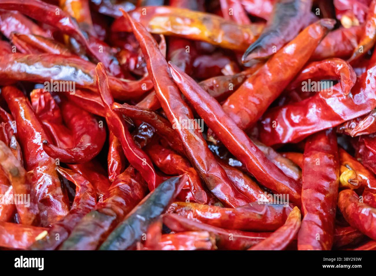 Primo piano vibrante di peperoncini rossi fritti. Sfondo con texture dettagliate che mostra cibo piccante, cucina e ingredienti culinari. Fresco, caldo e del Foto Stock