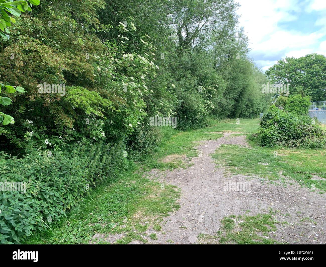 Numerose riprese della campagna, della fauna selvatica e delle giornate divertenti in giro per l'Oxfordshire Foto Stock