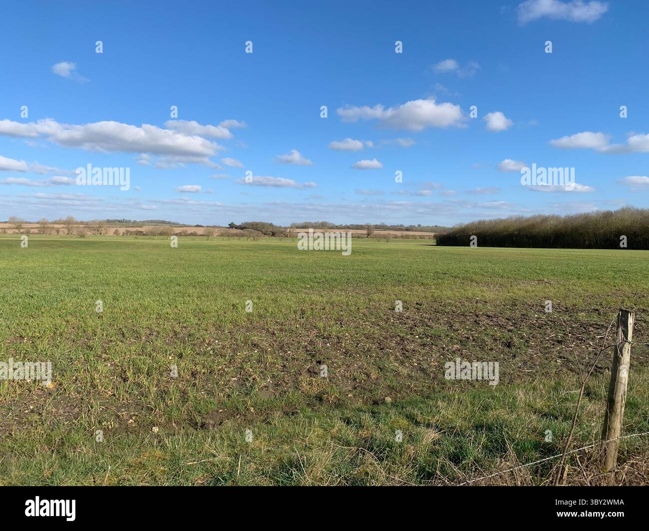 Numerose riprese della campagna, della fauna selvatica e delle giornate divertenti in giro per l'Oxfordshire Foto Stock