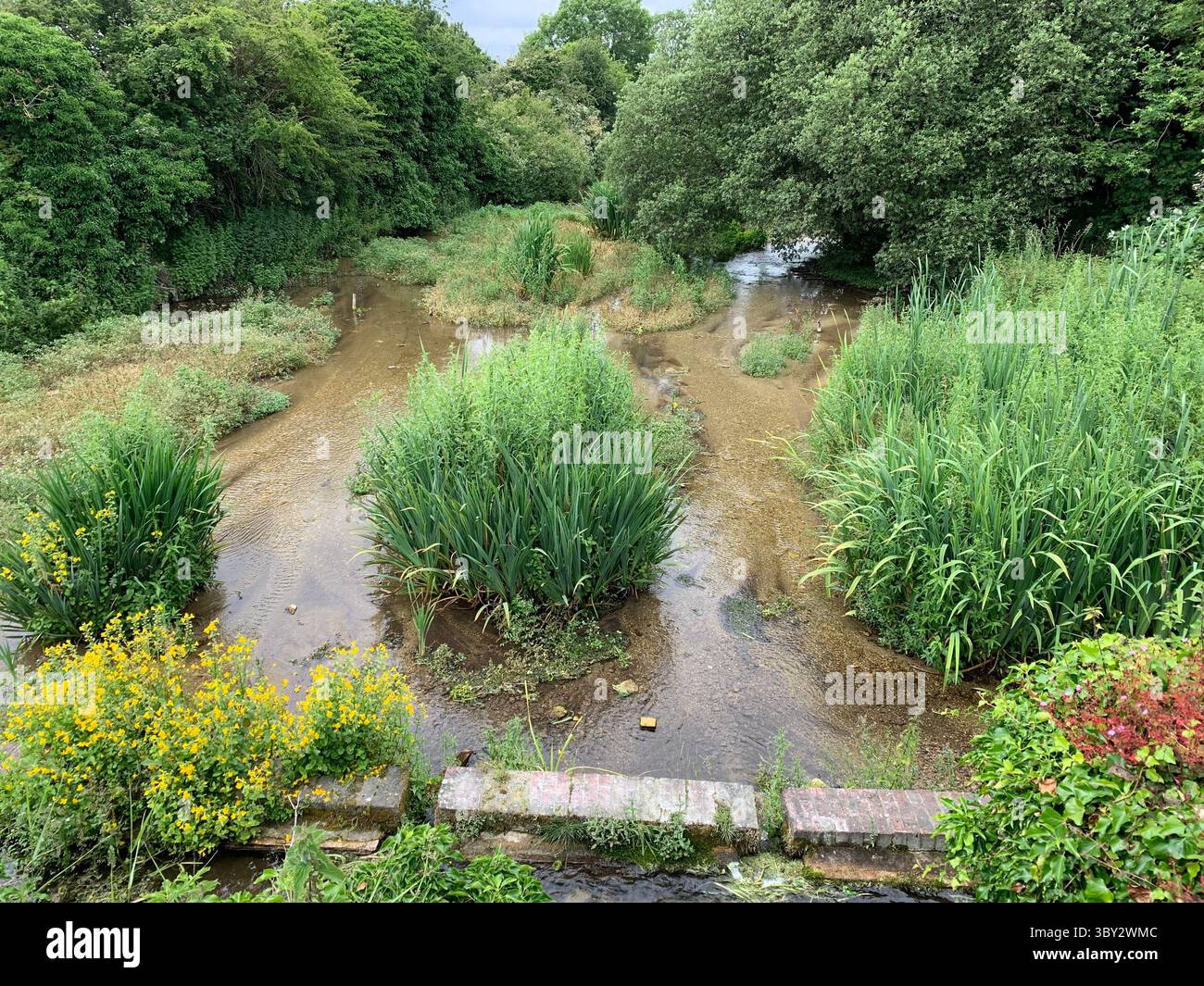 Numerose riprese della campagna, della fauna selvatica e delle giornate divertenti in giro per l'Oxfordshire Foto Stock