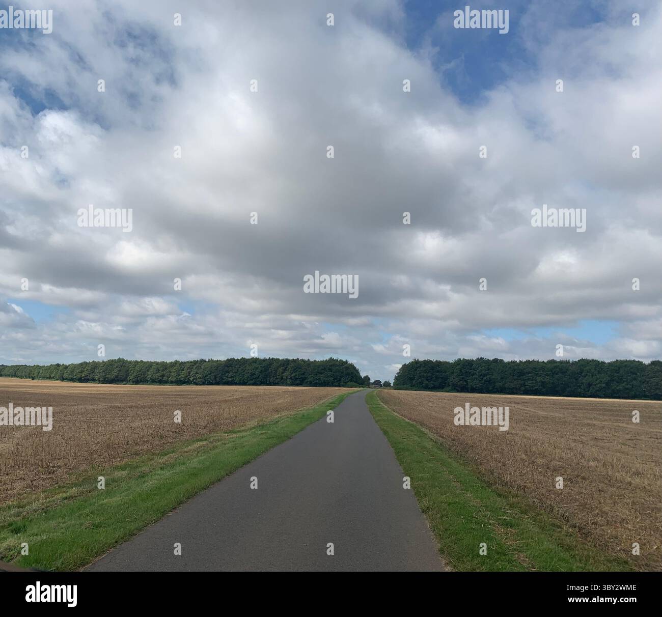 Numerose riprese della campagna, della fauna selvatica e delle giornate divertenti in giro per l'Oxfordshire Foto Stock